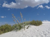 09  White Sands National Park v New Mexiku